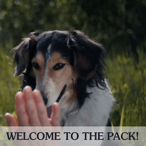 The first day on the job is conducive to employee warm welcome to the team | Gamfi Blog [gif].