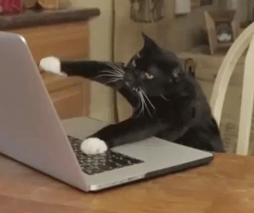 Welcome letter for a new employee: best practices [GIF] | Gamfi Blog